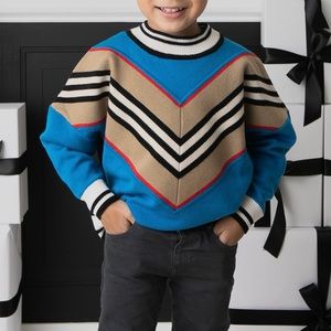Boys Burberry Sweater